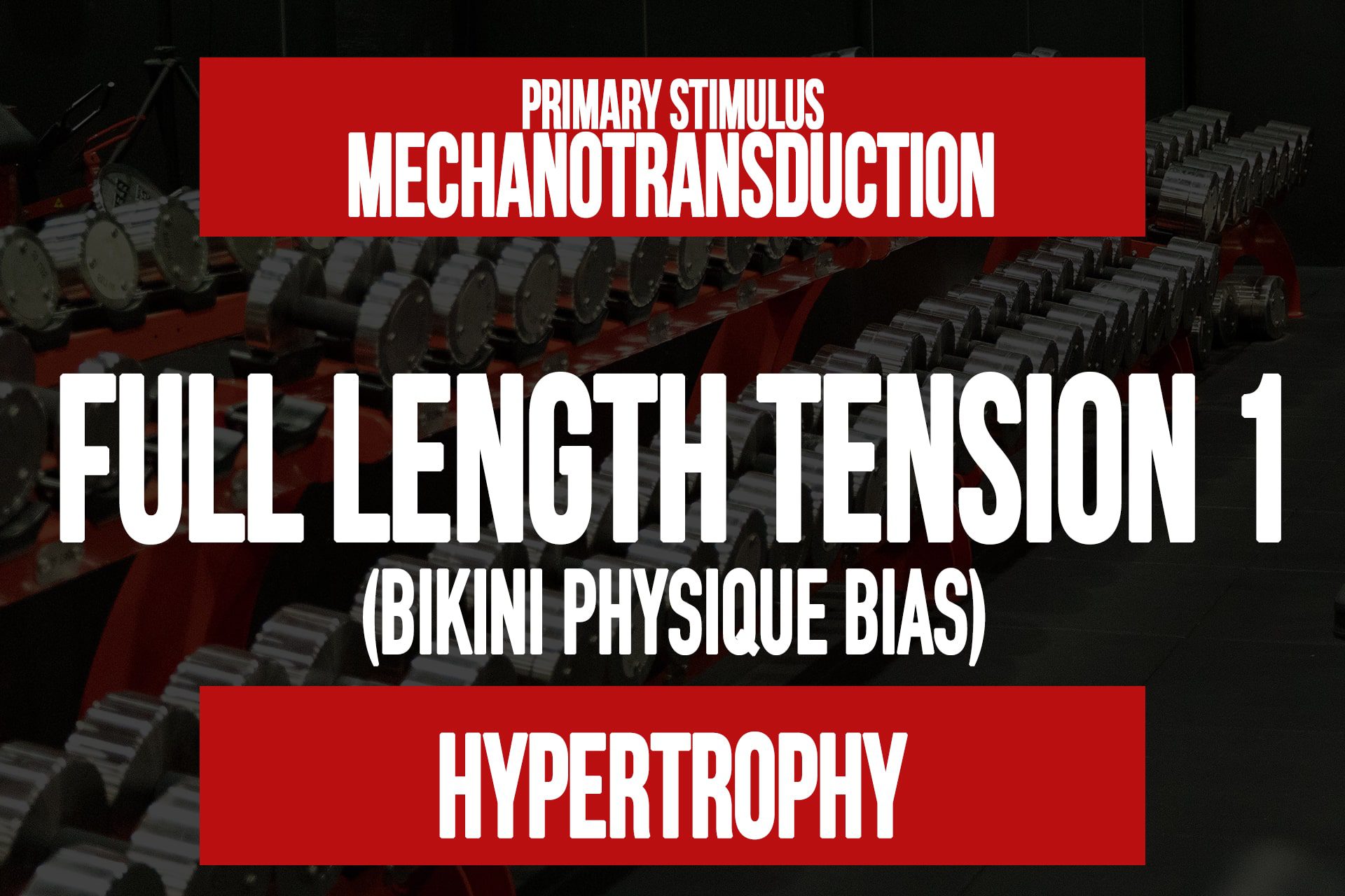 Full Length Tension 1 (Female Physique)