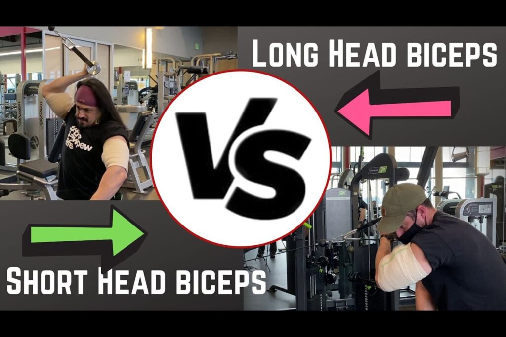 Biceps Training Comparison