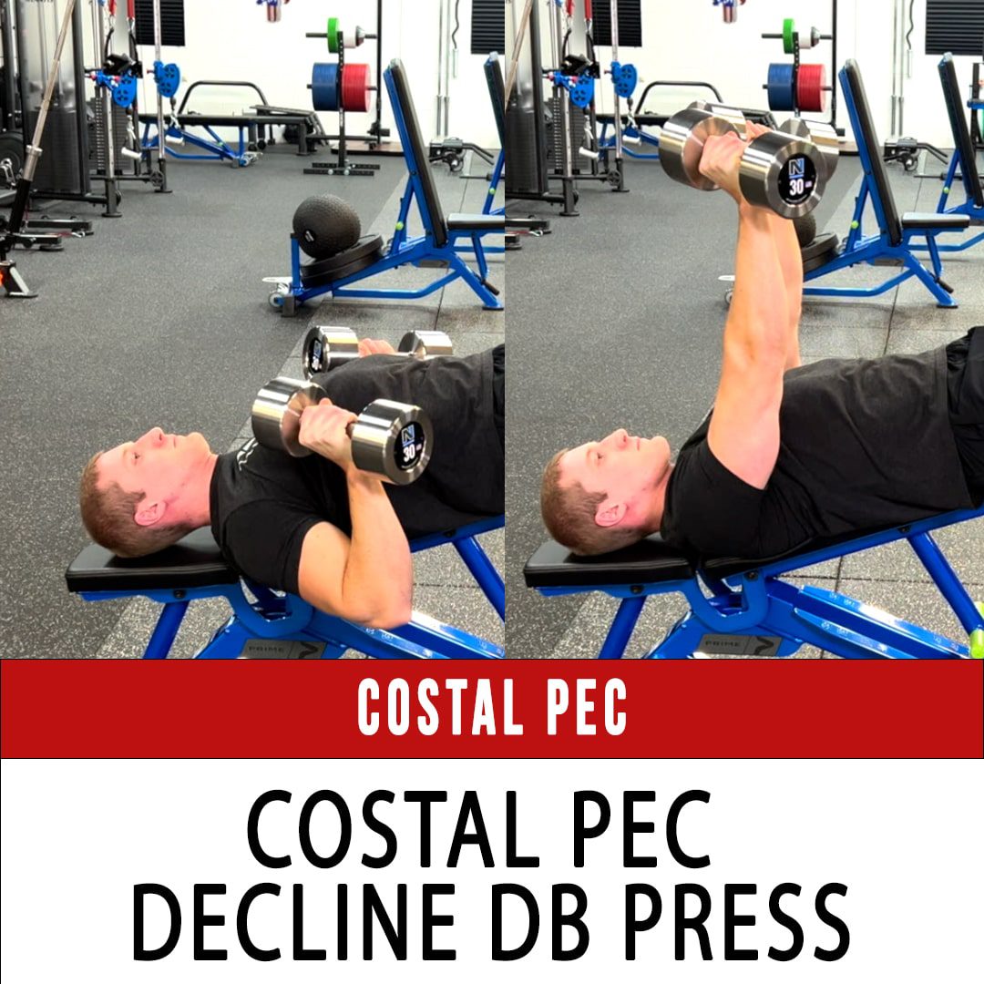 Costal Pec Decline DB Press