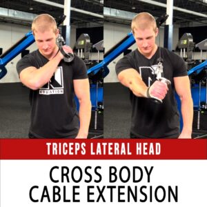 Triceps Medial Head - N1 Training