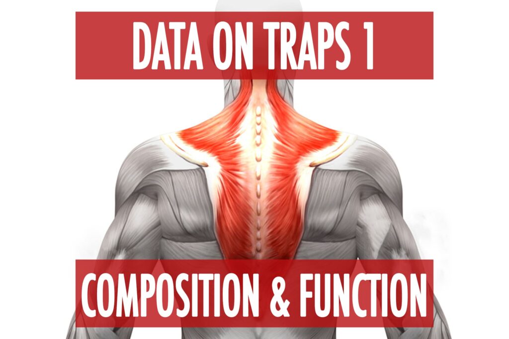 Data On Traps Part 1: Muscle Fiber Type & Function