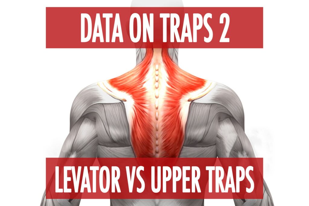 Data On Traps Part 2: Levator vs Upper Traps