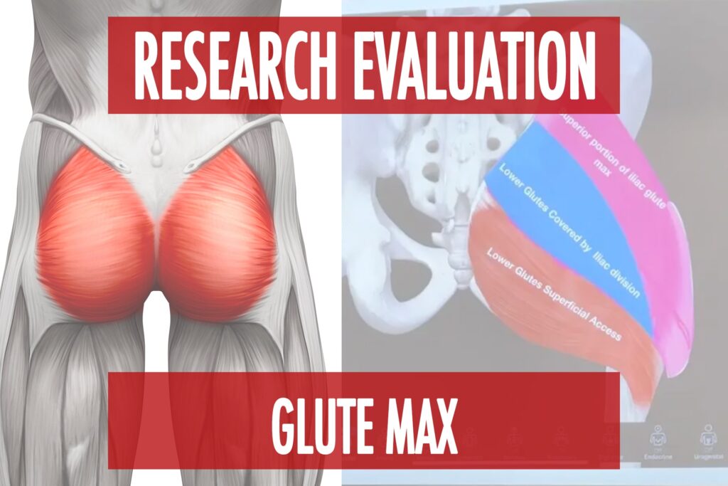 Research Evaluation: Glute Max