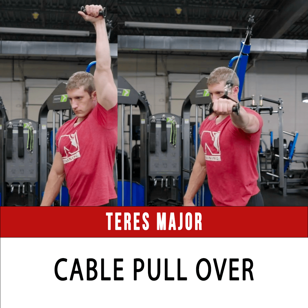 Free Weights VS Cables for Resistance Training - N1 Training