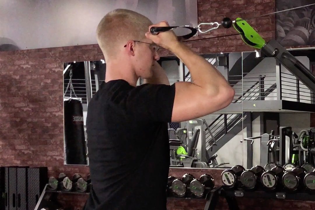 Biceps High Cable Curl Arms Forward